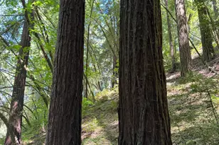 8781 Martinelli Rd, Forestville, CA 95436 - Photo 59