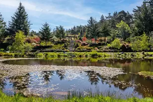 40811 Eureka Hill Rd, Point Arena, CA 95468 - Photo 7