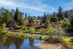 40811 Eureka Hill Rd, Point Arena, CA 95468 - Photo 21