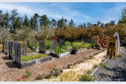 40811 Eureka Hill Road, Point Arena, CA 95468 - Photo 33