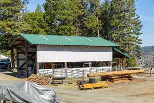 35350 Hwy 36 E, Paynes Creek, CA 96075 - Photo 19