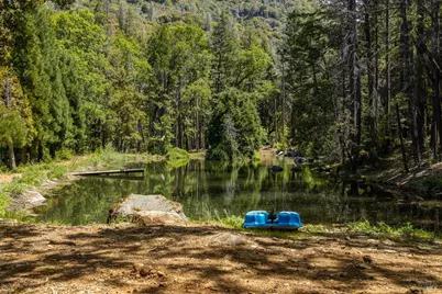 35350 Hwy 36E, Paynes Creek, CA 96075 - Photo 29