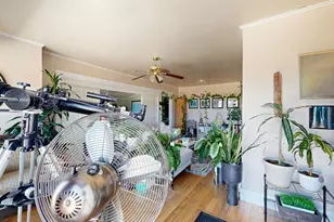 215 Picnic Ave, San Rafael, CA 94901 - Photo 43