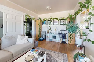 215 Picnic Ave, San Rafael, CA 94901 - Photo 49