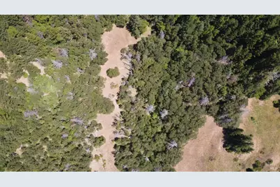 38401 Upper Road, Willits, CA 95490 - Photo 5