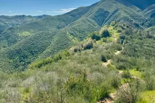 8560 Holmes Ln, Winters, CA 95694 - Photo 93