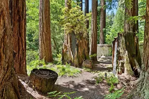 10 Wildwood Ln, Cazadero, CA 95421 - Photo 45