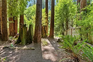 10 Wildwood Ln, Cazadero, CA 95421 - Photo 33