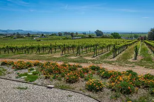 1150 Bayview Ave, Napa, CA 94559 - Photo 55