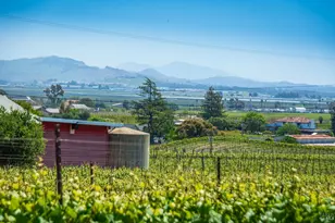 1150 Bayview Ave, Napa, CA 94559 - Photo 5