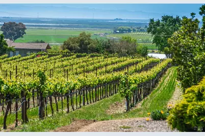 1150 Bayview Avenue, Napa, CA 94559 - Photo 3