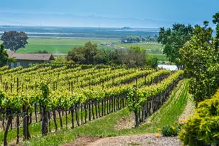 1150 Bayview Ave, Napa, CA 94559 - Photo 3