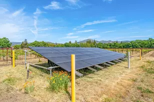 1079 Hedgeside Ave, Napa, CA 94558 - Photo 77