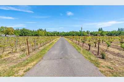 1079 Hedgeside Avenue, Napa, CA 94558 - Photo 73