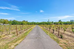 1079 Hedgeside Ave, Napa, CA 94558 - Photo 73