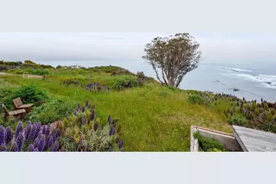 20 Oak Road, Bolinas, CA 94924 - Photo 5