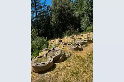 79005 Highway 271, Piercy, CA 95587 - Photo 17