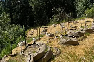 79005 Hwy 271, Piercy, CA 95587 - Photo 17