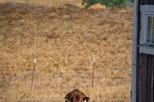 4044 Sonoma Hwy, Napa, CA 94559 - Photo 73