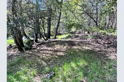 1811 Crawford Drive, Willits, CA 95490 - Photo 5