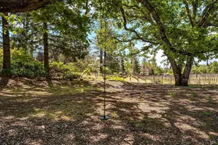 1065 Summit Lake Dr, Angwin, CA 94508 - Photo 49