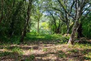 2267 Westside Rd, Healdsburg, CA 95448 - Photo 51