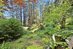 21713 Starrett Hill Dr, Monte Rio, CA 95462 - Photo 47