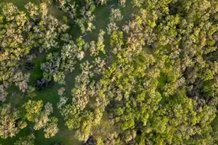 2389 Twining Rd, Talmage, CA 95481 - Photo 55