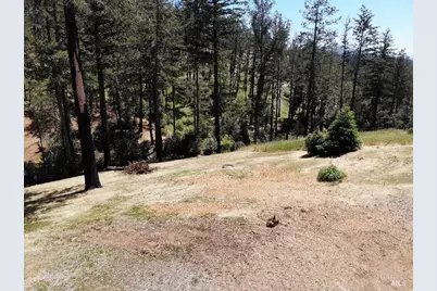 3829 Moss Hollow Court, Santa Rosa, CA 95404 - Photo 11