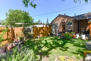 473 Newton Way, Angwin, CA 94508 - Photo 5