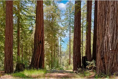 22196 Umland Circle, Jenner, CA 95450 - Photo 3