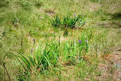 22196 Umland Circle, Jenner, CA 95450 - Photo 11