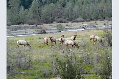 3320 Booth Way, Potter Valley, CA 95469 - Photo 45