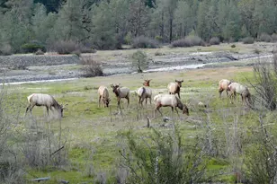 3320 Booth Way, Potter Valley, CA 95469 - Photo 45