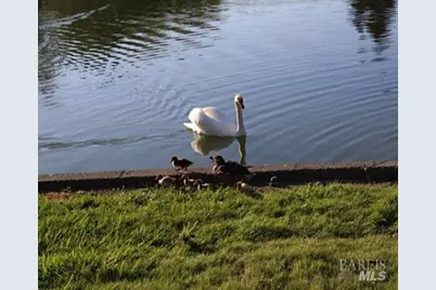 9211 Lakewood Drive, Windsor, CA 95492 - Photo 45