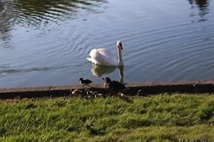 9211 Lakewood Dr, Windsor, CA 95492 - Photo 45