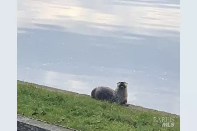 9211 Lakewood Drive, Windsor, CA 95492 - Photo 47