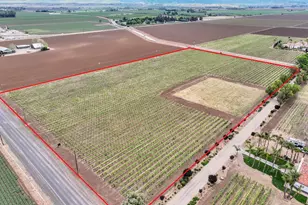 11670 Byron Hwy, Brentwood, CA 94513 - Photo 81