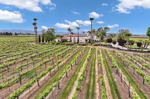 11670 Byron Hwy, Brentwood, CA 94513 - Photo 79