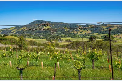 4560 Sonoma Mountain Road, Santa Rosa, CA 95404 - Photo 33