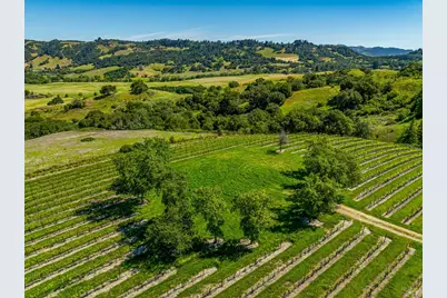 4560 Sonoma Mountain Road, Santa Rosa, CA 95404 - Photo 9