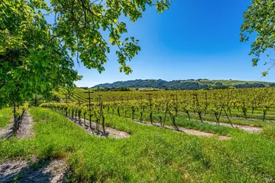 4560 Sonoma Mountain Road, Santa Rosa, CA 95404 - Photo 13