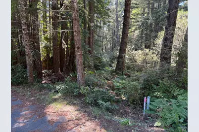 369 Big Tree Close Road, The Sea Ranch, CA 95497 - Photo 1