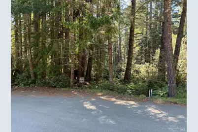 369 Big Tree Close Road, The Sea Ranch, CA 95497 - Photo 11