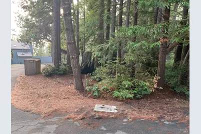 369 Big Tree Close Road, The Sea Ranch, CA 95497 - Photo 3