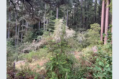 369 Big Tree Close Road, The Sea Ranch, CA 95497 - Photo 5