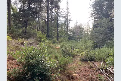 369 Big Tree Close Road, The Sea Ranch, CA 95497 - Photo 7