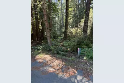 369 Big Tree Close Road, The Sea Ranch, CA 95497 - Photo 9