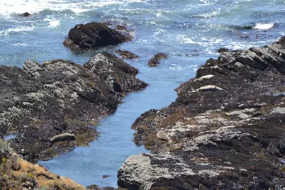 33500 S Highway 1, Gualala, CA 95445 - Photo 39