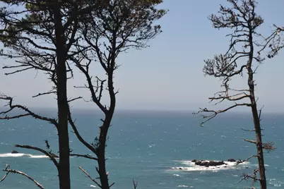 33500 S Highway 1, Gualala, CA 95445 - Photo 45